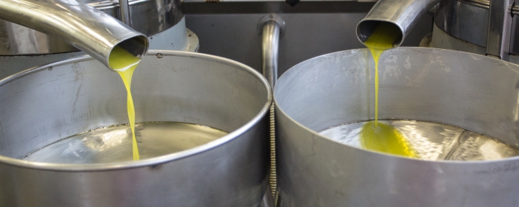 Ölmühle Kaltpressung Olivenöl