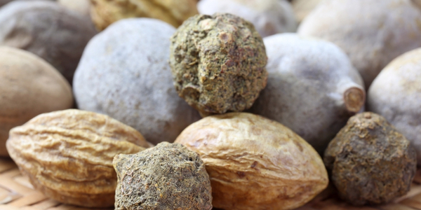 Mung Bohnen und Mung Dal