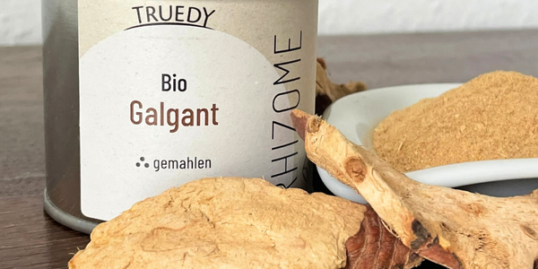 Truedy Galgant Dose und Knolle