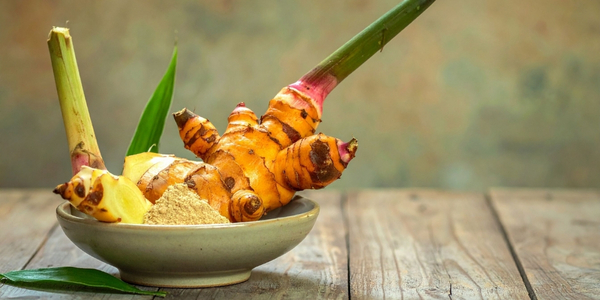 Rundbrief November 2025