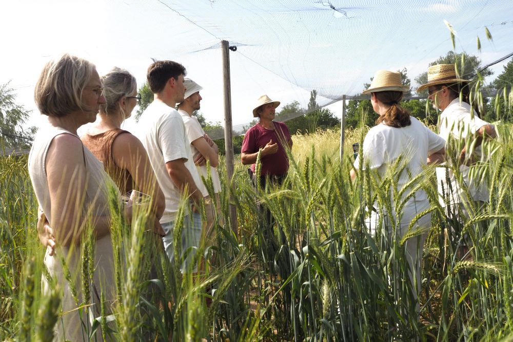 Team-Event Ausflug Samenzüchtung Haus Bollheim