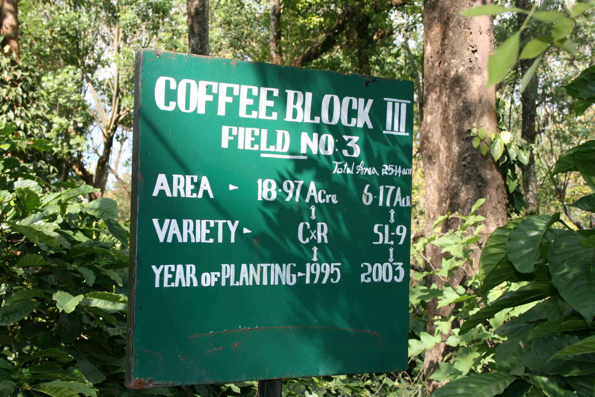 Schild Kaffeeplantage Indien