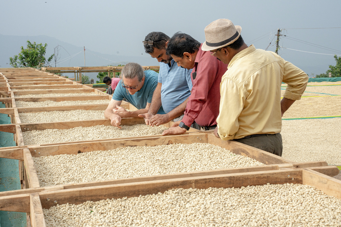 Peter Qualitätsprüfung Kaffeebauern