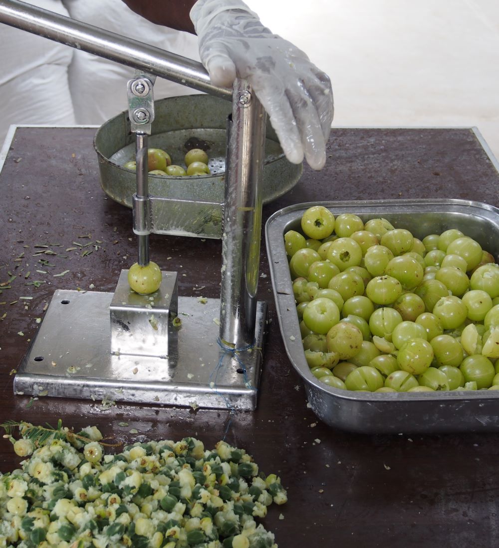 Amla-Frucht wird entsteint