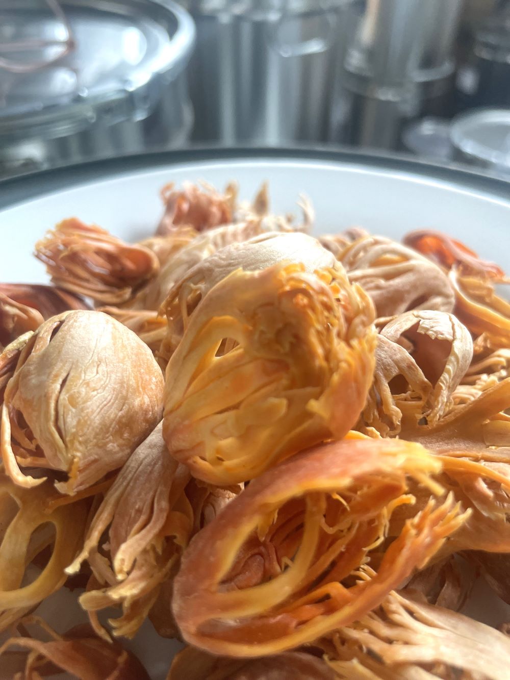 Muskatbluete - Macis