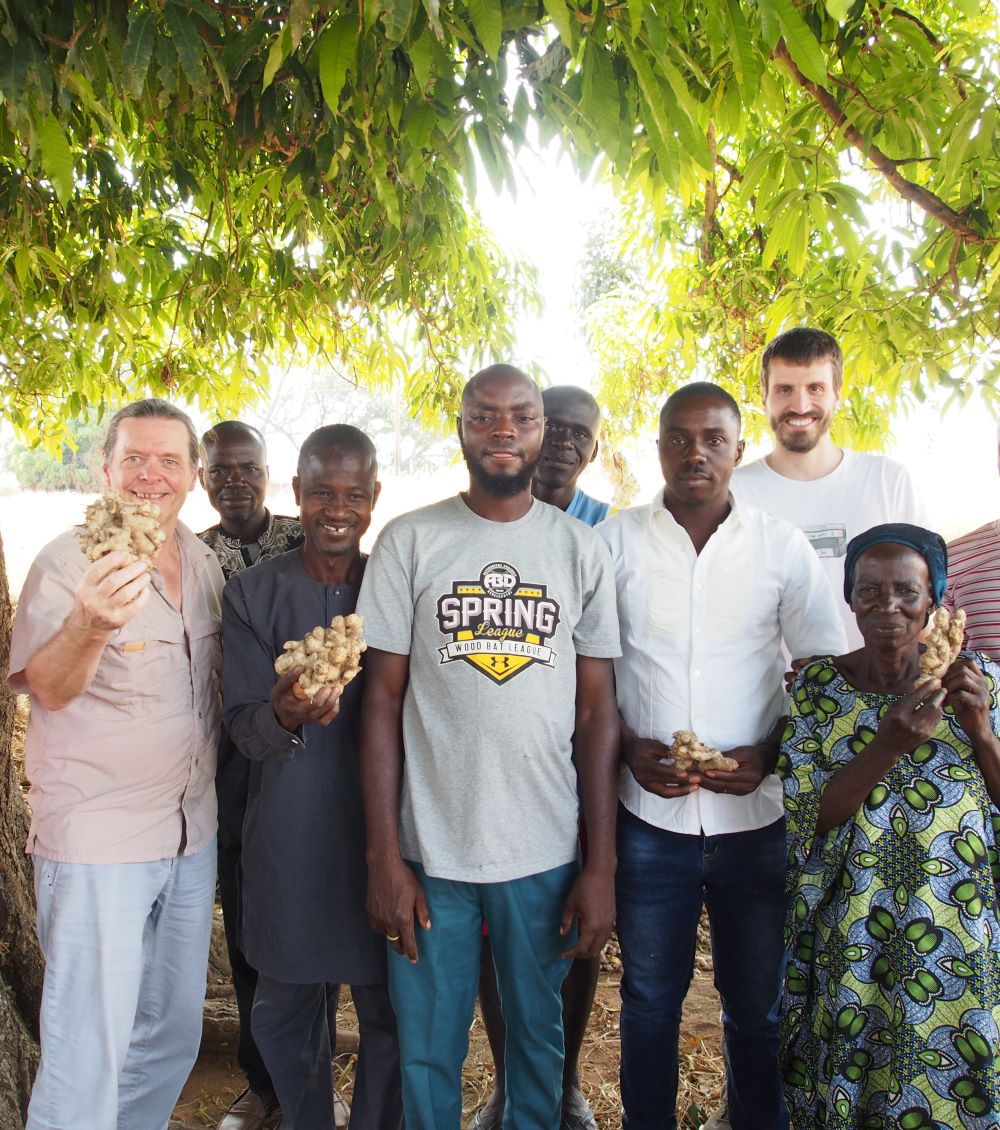 Ingwer Bauern in Nigeria