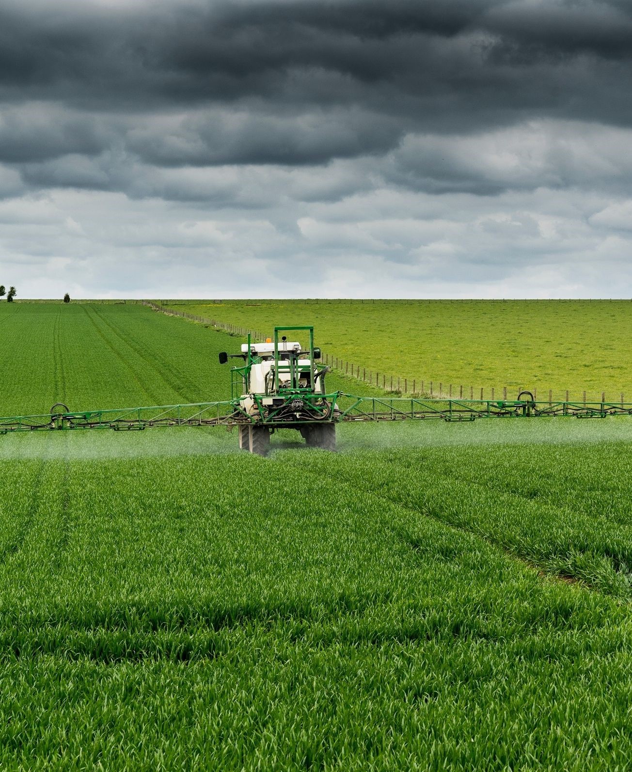 Feld Giftstoffe Düngemittel