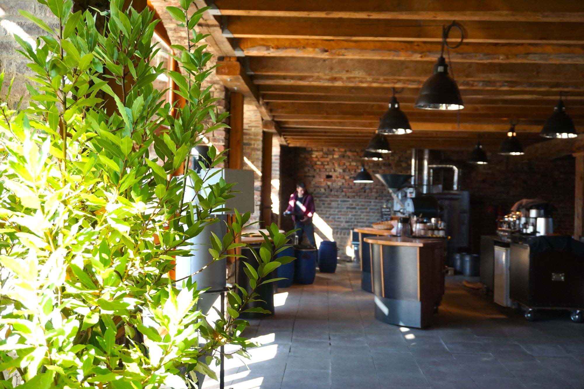 Roesterei Caffè Casolo Dützhof