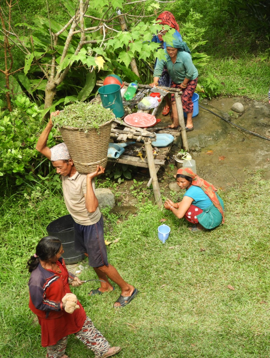 Gemeinsame Feldarbeit