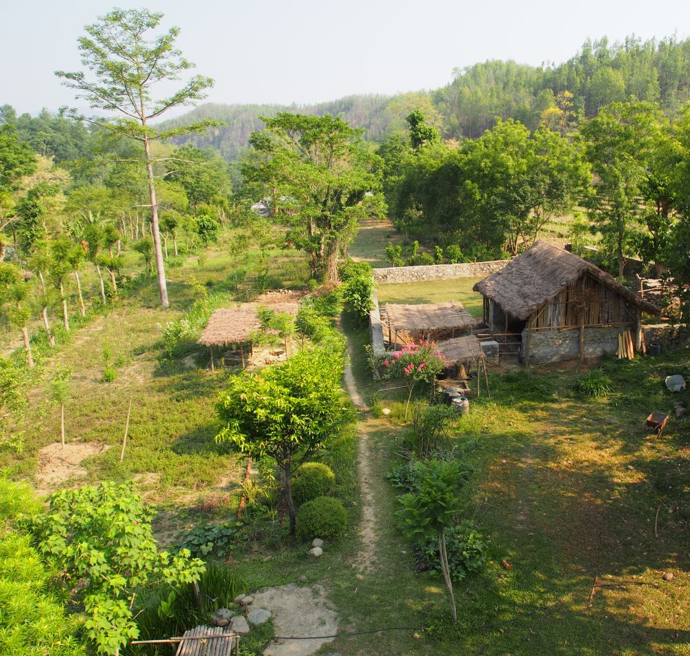 Land of the Medicine Buddha