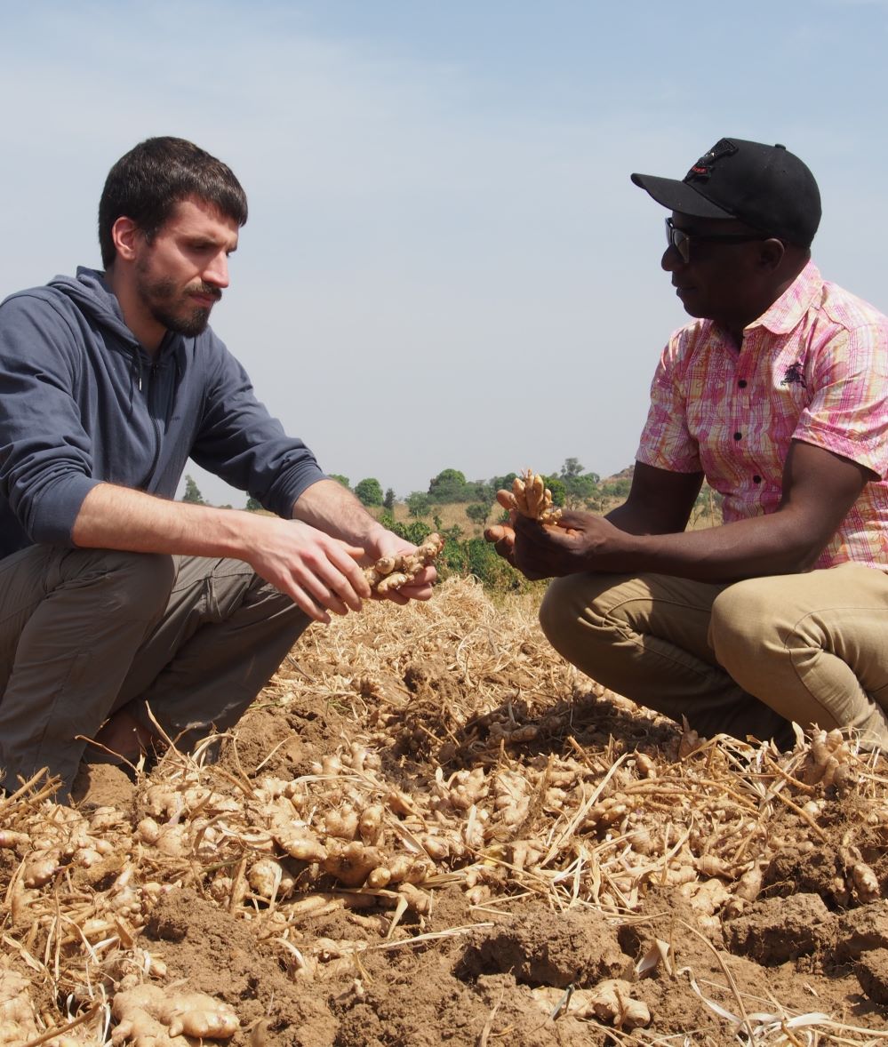 Moritz und John im Ingwerfeld