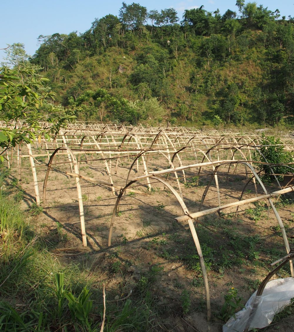 Kräuteranbau Nepali Gardens