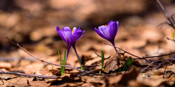 Rundbrief Dezember 2025